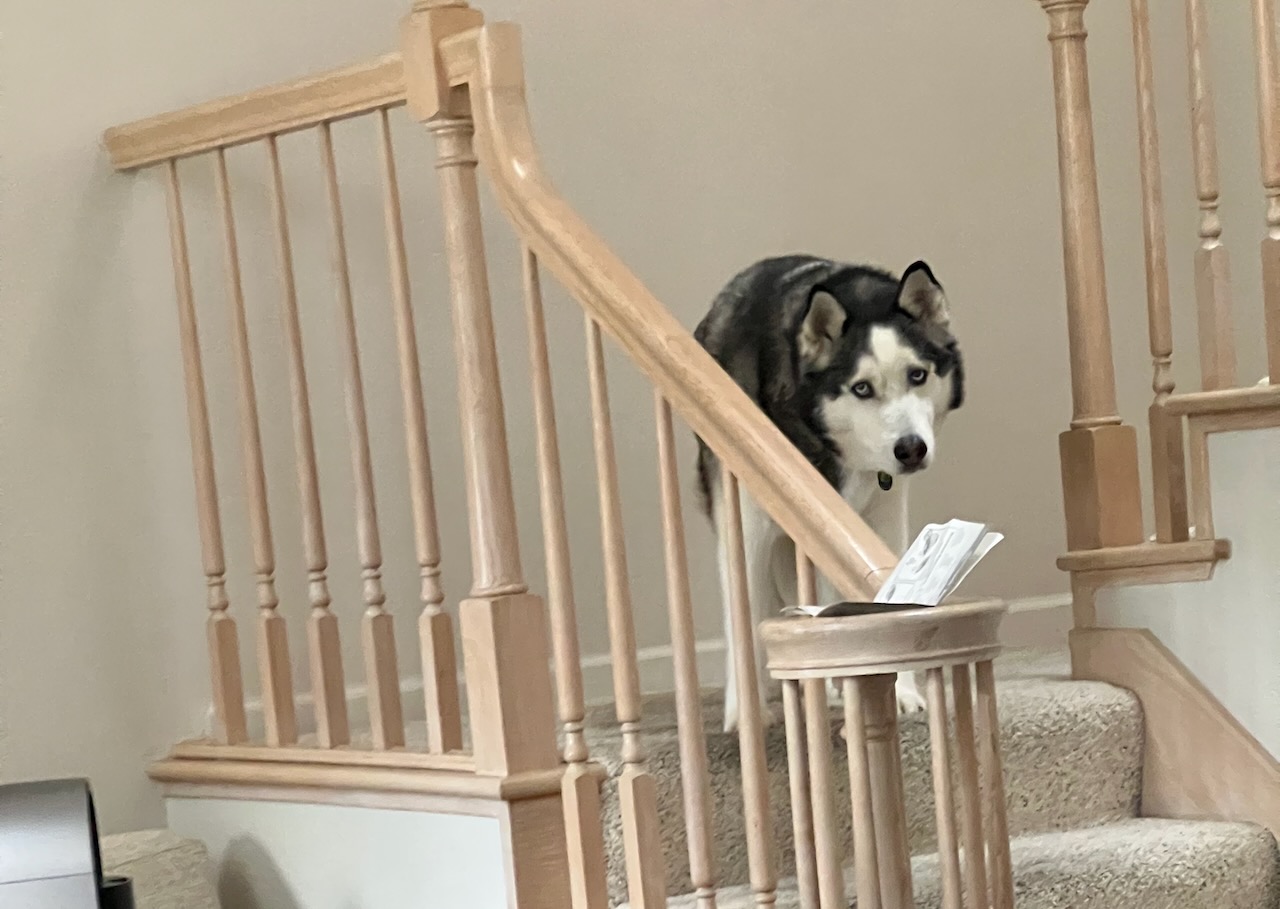 Chance